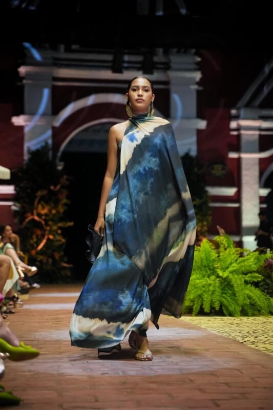 foto desfile elar