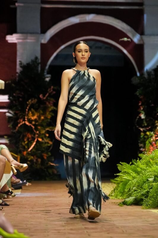 foto desfile elar
